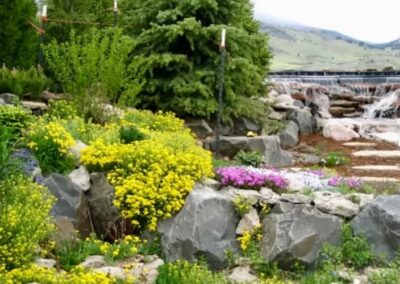 Landscaping Boulder, CO
